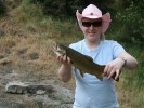 Nice Brown Trout
